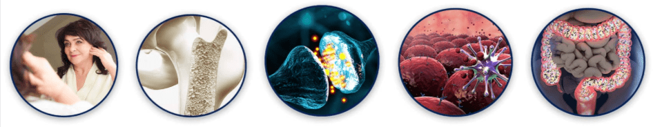 Advanced Amino Powder-Benefits