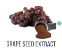 Grape Seed Extract