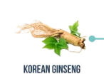 Korean Ginseng