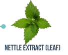 Nettle Extract (Leaf)