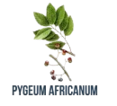 Pygeum Africanum